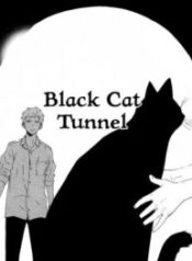 Black-Cat-Tunnel-193×278.jpg