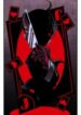 The-Dummys-Dummy-193×278.jpg
